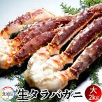 たらばがに 生たらばがに足 大2kg タラバガニ脚肉 生 本たらば 蟹足［ 父の日 ギフト 2024］