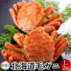 かに 毛がに 大（2尾入）800g ボイル かに 北海道産 毛蟹 姿［お歳暮 ギフト］