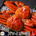 ずわいがに姿 (2尾入）1kg ボイル かに ずわい蟹 ズワイガニ 姿［産直食品 ホワイトデーギフト］
