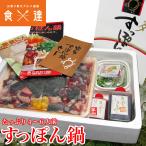  softshell turtle spon saucepan nabe pan Hakata softshell turtle saucepan set gift spon saucepan freezing flight gift 