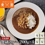 カレー-商品画像