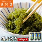 海ぶどう 100g×3 塩水漬け 常温 沖縄産 メール便 取り寄せ クビレズタ サラダ 海鮮丼 おつまみ 水で戻すだけ