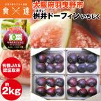  инжир 2kg иметь машина JAS засвидетельствование получение ..do- ласты Osaka (столичный округ) производство. .do- ласты ichi ось нет цветок . перо .. город рефрижератор рейс включение в покупку не возможно указанный день не возможно 