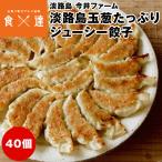 餃子 冷凍 40個 (20個入×2パック)  淡