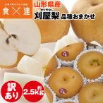 刈屋梨 2.5kg 訳あり 山形県産 梨 和梨 ご家庭用 ご自宅用 常温便 同梱不可 指定日不可 産直