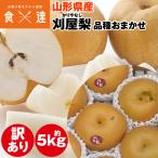刈屋梨 5kg 訳あり 山形県産 梨 和梨 ご家庭用 ご自宅用 常温便 同梱不可 指定日不可 産直