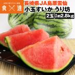 su.. маленький шар арбуз ... превосходящий товар 2 шар 2.8kg (1.4kg×2) запад . Nagasaki префектура производство фрукты фрукты обычная температура рейс включение в покупку не возможно указанный день не возможно 