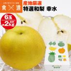 梨 幸水 6玉 約2kg 3Lサイズ 青秀以上 贈答用 ギフト 和梨 三水 ナシ こうすい 冷蔵便 同梱不可 指定日不可