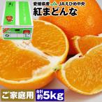 (1月中旬頃〜発送)紅まどんな みかん 5kg 愛媛県産 ご家庭用 17〜31玉程度 M〜3Lサイズおまかせ 良品以上 JAえひめ中央 常温便 同梱不可 指定日不可