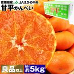 ショッピング甘平 甘平 みかん 5kg 愛媛県産 JAえひめ中央 かんぺい 16〜30玉程度 良以上 サイズおまかせ 柑橘 ミカン 常温便 同梱不可 指定日不可