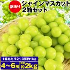 シャインマスカット 訳あり 2箱 4〜6房 2kg (1箱あたり 2〜3房 1kg) ご家庭用 お徳用 お買い得 ぶどう 産地厳選 贈答用 冷蔵便 同梱不可 指定日不可