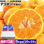 デコポン 熊本県産 20/24玉 5kg箱満杯詰め 糖度13度選果設定 不知火 柑橘 みかん 同梱不可 指定日不可