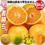 みかん 訳あり 6.3kg (6kg+保証分300g程度) 3kgx2箱セット 和歌山県産 早生みかん 温州みかん ミカン 蜜柑 柑橘 わけあり 常温便 同梱不可 指定日不可