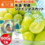 ショッピングシャインマスカット シャインマスカット 1房 600g以上 岡山県産 氷温貯蔵 高級 贈答 ぶどう ブドウ 葡萄 黒川農園 冷蔵便 同梱不可 指定日不可 産直