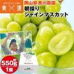 シャインマスカット 朝採り 550g 1房 岡山県産 種なしぶどう 葡萄 ブドウ 産直 冷蔵便 同梱不可 指定日不可