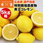  eko лимон 5kg коробка .. Hiroshima префектура . Toda производство лимон желтый специальный культивирование сельское хозяйство производство предмет . пестициды . химия удобрение включение в покупку не возможно указанный день не возможно 