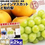 シャインマスカット 梨 詰め合わせ 旬 特選 2kg 和歌山県産 ぶどう 皇室献上 高品質 森園 化粧箱 産直 産地直送 冷蔵便 同梱不可 指定日不可