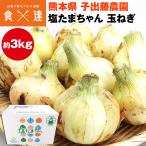 玉ねぎ 塩たまちゃん 秀品 3kg 12〜18玉程度 子出藤農園 鉄腕ダッシュ 青空レストラン タマネギ 熊本県産 産直 常温便 同梱不可 指定日不可