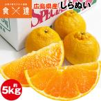 ショッピングデコポン しらぬい 5kg 広島県産 不知火 しらぬひ みかん 柑橘 蜜柑 ミカン 産直 常温便 同梱不可 指定日不可