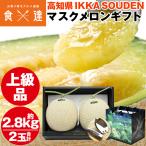 マスクメロン ギフト 高級 2玉 合計2.8kg (1.4kg×2玉)  上級品 産地直送 高知県産 贈答用 産直 常温便 同梱不可 指定日不可