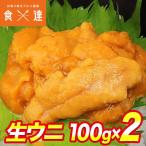 訳あり 生うに 生 ウニ うに 無添加 冷凍 100g×2パック 生ウニ みょうばん不使用 お刺身用 雲丹 冷凍便