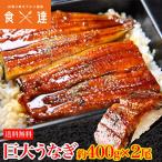 ショッピングうなぎ うなぎ 蒲焼き 鰻 約400g前後×2尾 2本 特大 巨大 ウナギ かば焼き タレ 冷凍便 ギフト お取り寄せ