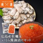 牡蠣といくらセット 特大2Lかき 牡蠣 カキ トラウトサーモンイクラ ギフト