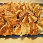 ショッピングギョーザ ギョーザ「おいしい餃子」100個(冷凍) 本場宇都宮より直送 業務用 ホテル 食堂 レストラン 給食 BBQ アウトドア