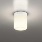 OW269051LRo-telik свет для ванной белый огонь лампа прибор 60W соответствует лампа цвет защита от дождя type 