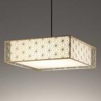 OP273030Rオーデリックペン...