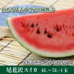 尾花沢スイカ(4L~5L_1玉) 一部送料無料 山形県尾花沢市 フルーツ ギフト 贈答用 土産 御中元 お中元