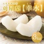 【2025年予約販売開始】刈屋梨「幸水/3kg・6〜9玉入(化粧箱入)山形県庄内酒田市刈 和梨 9月上旬〜9月中旬発送 お取り寄せ