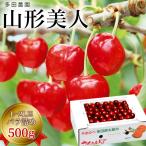 [2026 предварительный заказ распродажа начало ] много рисовое поле сельское хозяйство .[ Yamagata прекрасный человек (500g/ роза )](. земля культивирование ) [6 месяц средний .~ отправка предположительно ] Yamagata префектура гора сторона производство L~2L шар прямая поставка от производителя подарок часть бесплатная доставка 