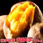  семена остров производство дешево . клубень (... ...) 3kg( маленький размер набор )