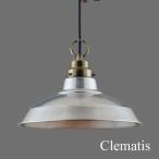 ペンダントライト レトロ アンティーク 真鍮 日本製 後藤照明 Clematis クレマチス GLF-3405