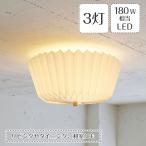 照明器具 シーリングライト リビング LED専用 6畳 直付け ordinaire オルディネール LT-4587 3灯