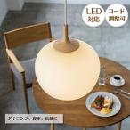 照明器具 アンティーク ペンダントライト LED ガラス Aune アウネ LT-4650 1灯