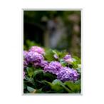  кальби Anne B3 ( стрекоза останавливать модель )