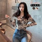 トップス レディース ハイネック レイヤード インナー 重ね着 韓国ファッション おしゃれ レース シーファン Ｔシャツ 薄手 細身 送料無料 爆買
