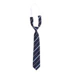 Teens Ever одним движением галстук форма школьная форма входить . тип церемония окончания галстук / женщина / женский : темно-синий /. глава 