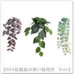 IKEA/ Ikea FEJKA/fe кальмар человеческий труд декоративное растение / wall держатель имеется 3 шт. комплект зеленый / lilac (105.486.26/10548626)