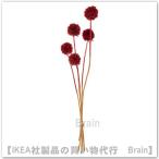 IKEA/ Ikea TORKA/to LUKA сухой цветок / план to40 cm стерео run Koo гель красный (106.381.27/10638127)