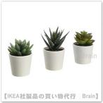 ショッピングikea ＩＫＥＡ/イケア　FEJKA/フェイカ　人工観葉植物 鉢カバー付き12 cm　3個セット　Succulent(205.197.65)