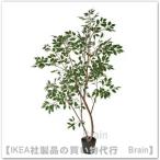 ショッピングikea ＩＫＥＡ/イケア　FEJKA/フェイカ　人工観葉植物210cm　ベンジャミン(306.105.99/30610599)