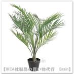 IKEA/イケア FEJKA/フェイカ 人工観葉植物68 cm アレカヤシ(805.084.10)