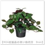 IKEA/ Ikea FEJKA/fe кальмар человеческий труд декоративное растение 23 cm драгоценности o- Kid (806.008.71/80600871)