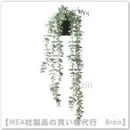 ＩＫＥＡ/イケア　FEJKA/フェイカ　人工観葉植物/つり下げ型58 cm　ユーカリ(904.668.10)