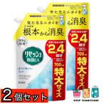 2個セット　リセッシュ除菌 EX 消臭芳香剤 液体 消臭スプレー 香りが残らないタイプ スパウトパウチ 詰め替え 700ml
