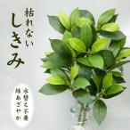 .. нет ...2 шт. комплект комплект закрытый для 1 на kouba нет Kimi type bi. искусственный цветок новый поддон .. домашний алтарь ... настоящий - нет ba цветок no дерево 