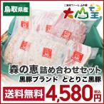 送料無料 ととりこ黒豚 森の恵み セット 冷凍 父の日 お肉 肉 豚肉 ハム ギフト ベーコンブロック 黒豚 ソーセージ 詰め合わせ フランクフルト 内祝